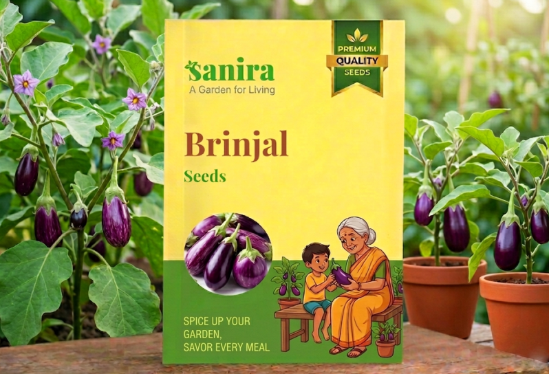Brinjal (Multiple types)